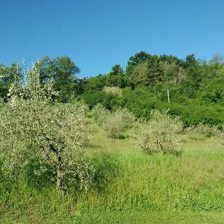 Oda ve Kahvaltı Il Sorriso Di *