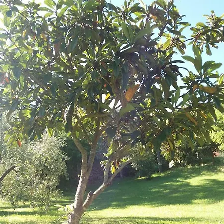 Oda ve Kahvaltı Il Sorriso Di Volterra