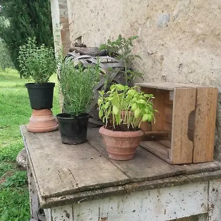 Il Sorriso Di * Volterra