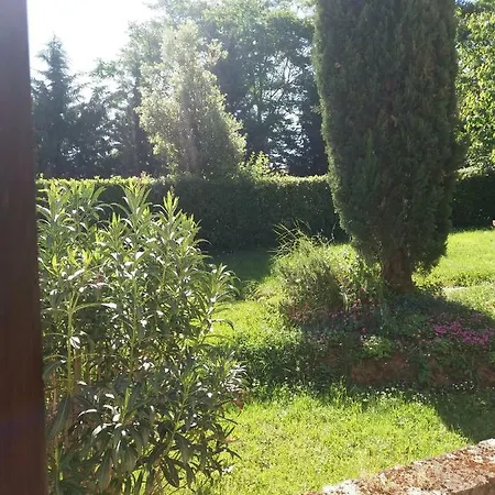 Il Sorriso Di