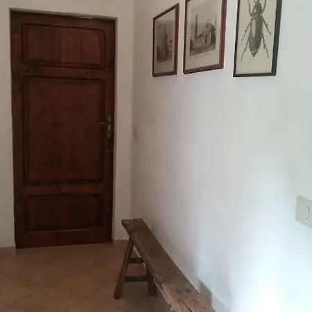 Il Sorriso Di *